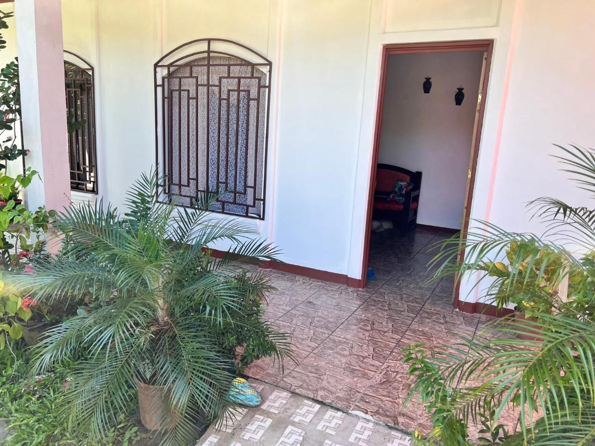 Natural Experience House Tortuguero Extérieur photo