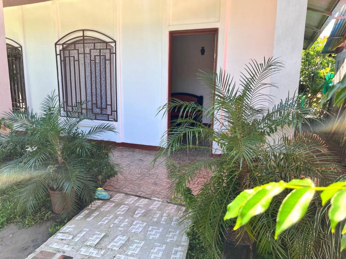 Natural Experience House Tortuguero Extérieur photo